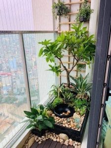 Sử dụng logia, ban công để lấy không khí tự nhiên